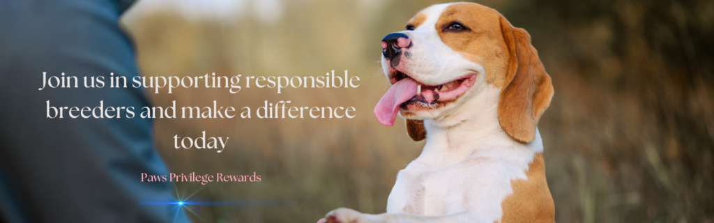 Responsible, Ethical Canadian Dog Breeders