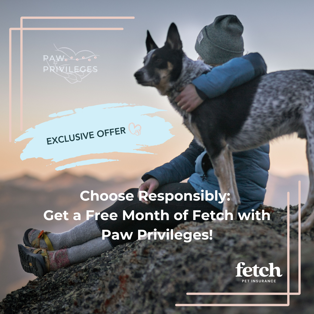 Fetch Pet Insurance, National Sponsor of Paw Privileges Rewards