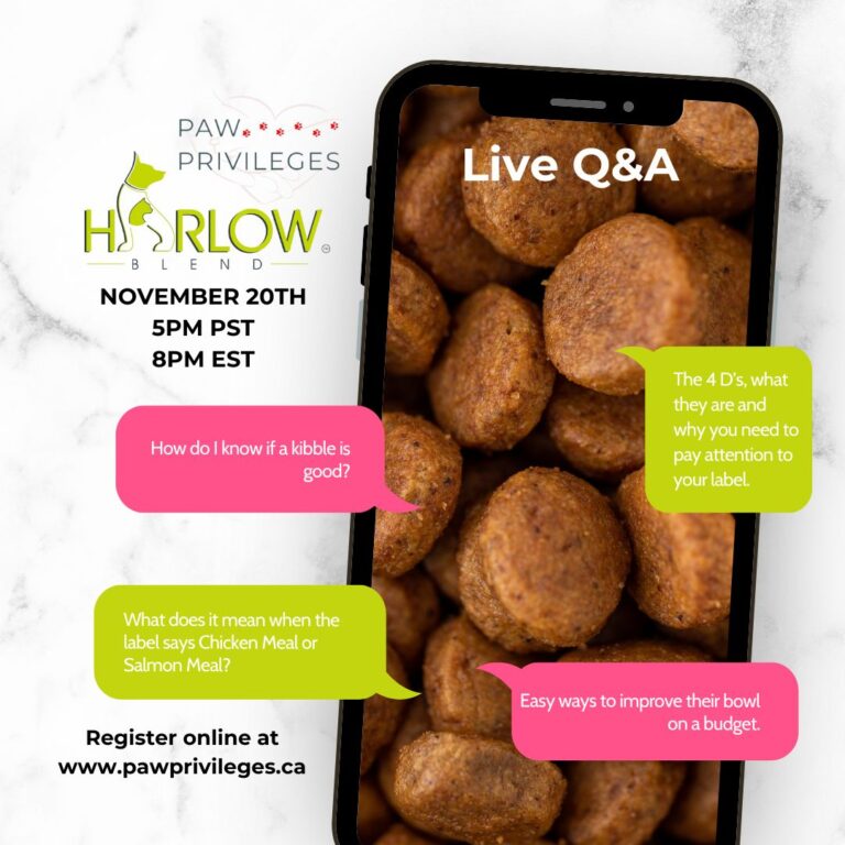 Harlow Blend Kibble Nutrition Q/A