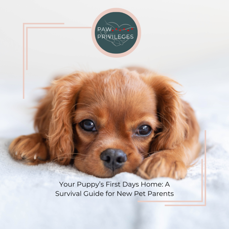 Your Puppy's First Days Home: A Survival Guide