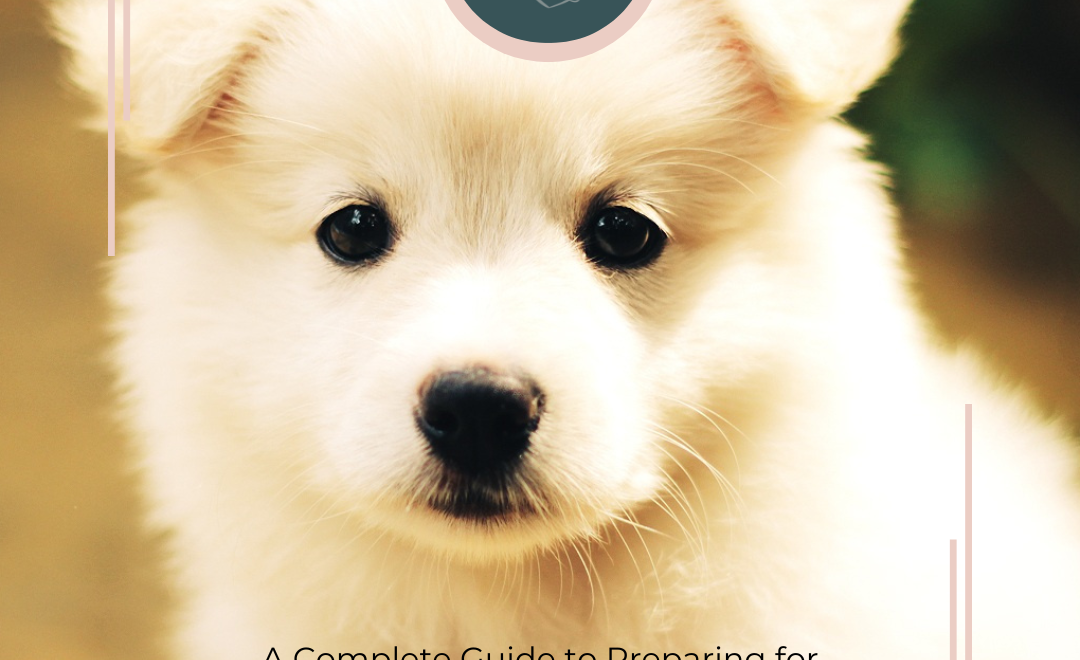 A Complete Guide to Preparing for Your New Puppy