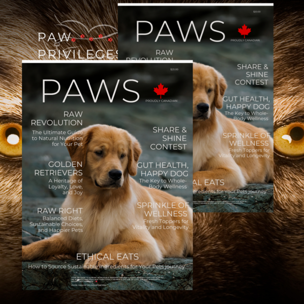Best Dog Magazine