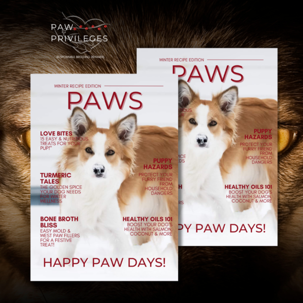 Single Edition | HAPPY PAWS - Winter Recipe Edition