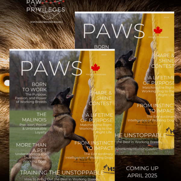 PAWS Dog Magazine | Best Dog Magazine in Canada