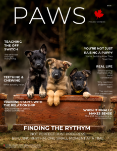 Puppy's first year - The Gotcha Day Series