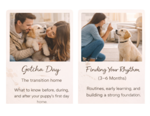 PAWS Magazine | Canada’s Best Dog Magazine + Free Gotcha Day Series